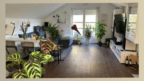 Foto - Schwaigern 2,5 Zimmer - 750,00 EUR Kaltmiete,