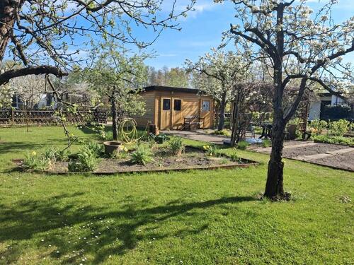 Foto - Pachtgarten in Cottbus Sachsendorf...sofort abzugeben