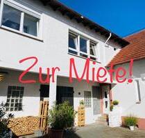 Saniertes ehemal. Winzergut mit Charme - Alsheim