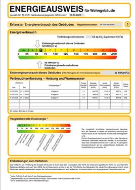 Foto - 9 Zimmer Einfamilienhaus in Plauen