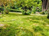 Foto - Kleingarten 622 m², Obstbäume, Teich mit Goldfischen