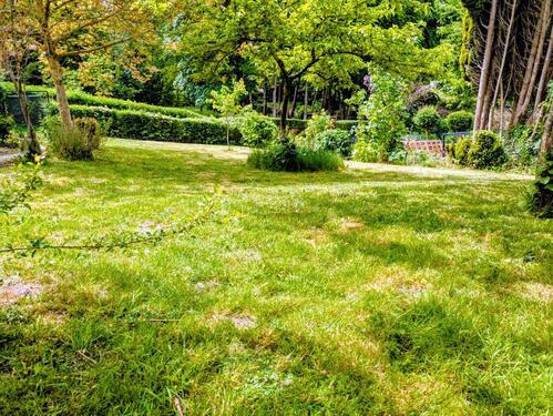 Foto - Kleingarten 622 m², Obstbäume, Teich mit Goldfischen