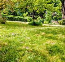 Kleingarten 622 m², Obstbäume, Teich mit Goldfischen - Kiel Elmschenhagen
