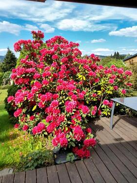 Foto - Grundst&uuml;ck in Bautzen