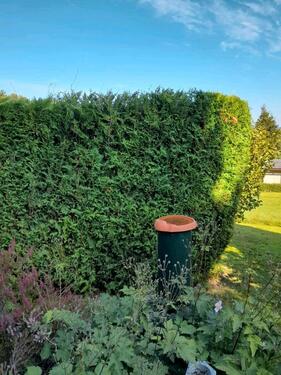 Foto - Grundst&uuml;ck in Bautzen zur Miete