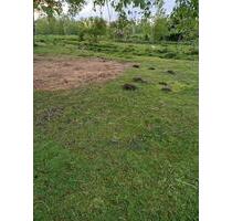 Wohnwagenstellplatz - 20,00&nbsp;EUR Miete, in Teterow (PLZ: 17166)