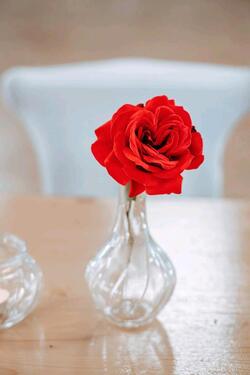 Foto - andere in Dresden zur Miete