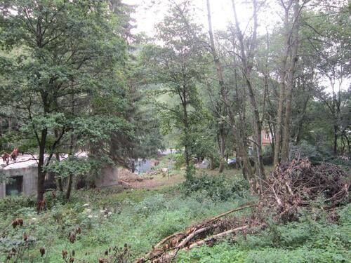 Foto - KS-Wilhelmshöhe, Grundstück für Gartenbau zu verpachten