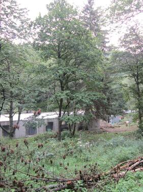 Foto - Grundst&uuml;ck zur Miete in Kassel