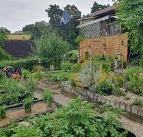 Kleingarten mit massiver Laube in Eisenhüttenstadt