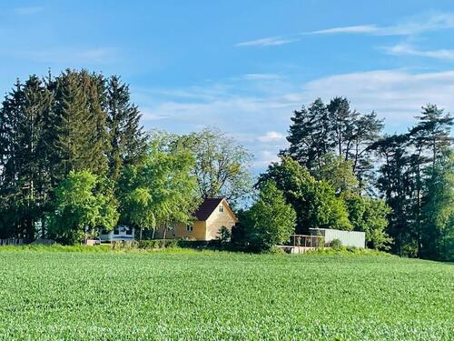 Foto - Haus mit Grundstück in mitten Natur, nähe Bodensee am Weiher