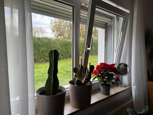 Foto - 2 Zimmer Etagenwohnung in Trier