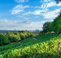 Reisemobilstellplatz im Rhein-Main-Gebiet zu verpachten - Offenbach am Main Bürgel