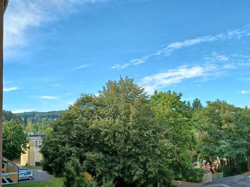 Foto - Etagenwohnung in Plauen