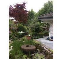 Lichtdurchfluteter Bungalow in Gehrden