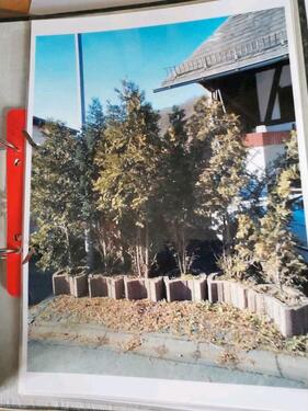 Foto - 5 Zimmer Einfamilienhaus in Bad Endbach