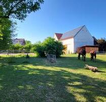 Bauernhaus-hof für Pferde-Naturfreunde - Münchsmünster