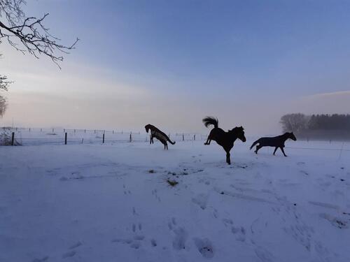 Foto - Bauernhaus, Landhaus in Münchsmünster zur Miete
