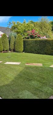 Foto - 4 Zimmer Erdgeschoßwohnung zur Miete in Papenburg