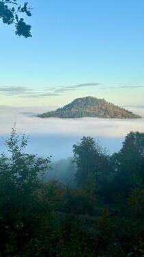 Foto - andere in Görlitz zur Miete