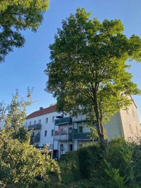 Foto - Helle 3 Raumwohnung mit Balkon ab Januar zu vermieten