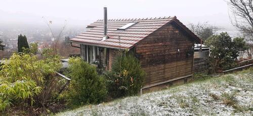 Foto - Charmantes, ganzjährig nutzbares Gartenhaus in Zella-Mehlis