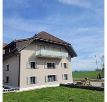 Gepflegtes 9-Familienhaus in 79736 Rickenbach mit Alpensicht