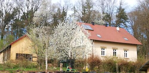 Foto - Ferienhaus für 8 Personen Urlaub Fewo Bayern Oberpfalz