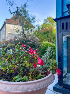 Foto - Einfamilienhaus in Kassel zur Miete