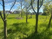 Foto - Garten - Naturgrundstück Wiese Bonn Hoholz