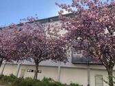 Foto - Tiefgaragen-Stellplatz in Stötteritz direkt am Rewe TG-Stellplatz