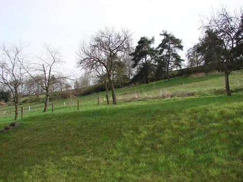 Foto - 