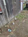 Foto - Kleingarten - 1.700,00 EUR Kaltmiete, ca.  0,00 m²