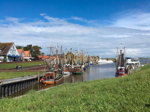 Foto - Lückentage 9.5.-13.5 18.5. - 23.5 Fewo Muckelstuuv in Greetsiel
