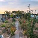 Foto - Schöner Garten (580 qm) mit Gartenhaus zu pachten