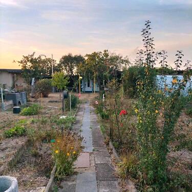 Foto - Schöner Garten (580 qm) mit Gartenhaus zu pachten