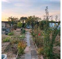 Schöner Garten (580 qm) mit Gartenhaus zu pachten - Bad Düben