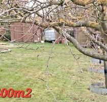 Kleingarten in Klütz - 850,00 EUR Kaltmiete, ca.  0,00 m² in Klütz (PLZ: 23948)