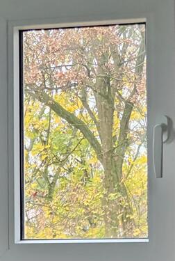 Foto - NRW Essen, ländlich wohnen in der Stadt