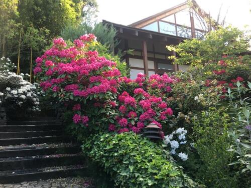 Foto - Japanisches Haus in Gerlingen Höhenlage