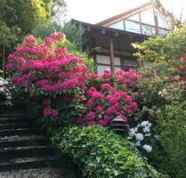 Japanisches Haus in Gerlingen Höhenlage