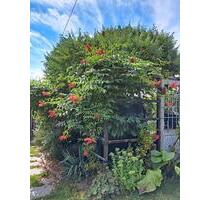 Pachtgarten - 2.500,00&nbsp;EUR Kaltmiete, ca.&nbsp; 0,00&nbsp;m&sup2; in Oelsnitz (Vogtland) (PLZ: 08606)