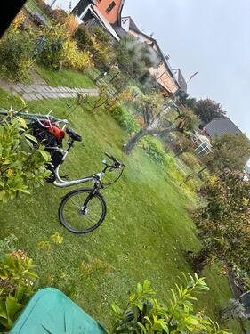 Foto - Garten in Reutershagen - 3.500,00 EUR Kaltmiete, ca.  0,00 m²