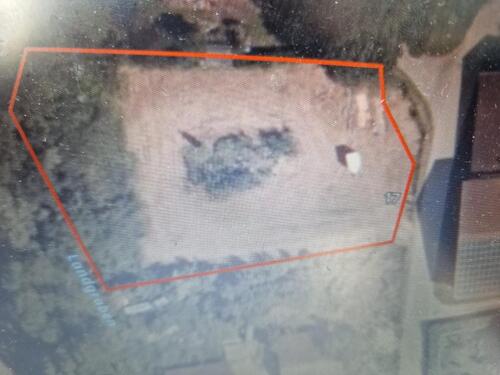 Foto - Verpachte Vermiete Wiese - Grundstück - Feld - Schrebergarten