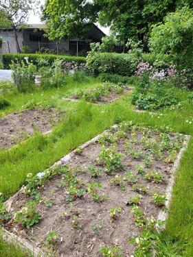 Foto - Grundst&uuml;ck in Rostock