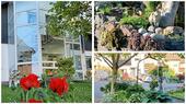 Foto - 7 Zimmer Mehrfamilienhaus, Wohnhaus zum Kaufen in Bergneustadt