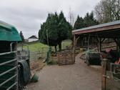 Foto - Bauernhaus, Landhaus in Windeck zum Kaufen