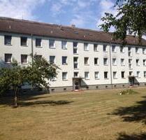 Wischuer nähe Kühlungsborn und Rerik