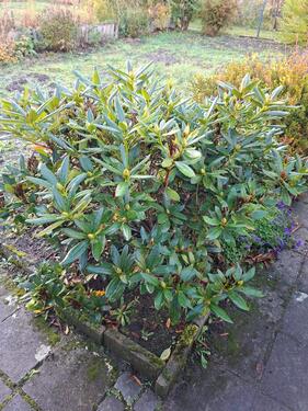 Foto - Grundstück in Demmin