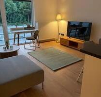 Voll möbliertes, neuwertiges Apartment am Gräflichen Park - Bad Driburg